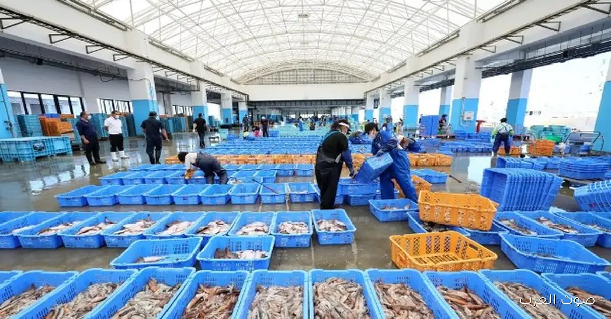 الصين تمنع استيراد المأكولات البحرية من اليابان