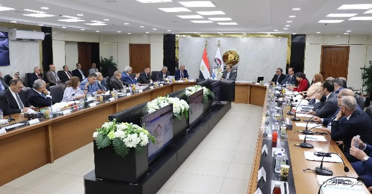 القابضة للأدوية: إيراداتنا هتوصل لـ 11.6 مليار جنيه في 2024-2025