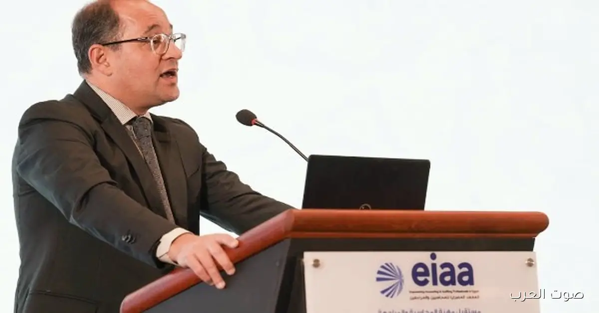 المالية: الذكاء الاصطناعي بيساعد في زيادة الإنتاجية والأرباح وتقليل التكاليف وتحسين الخدمات