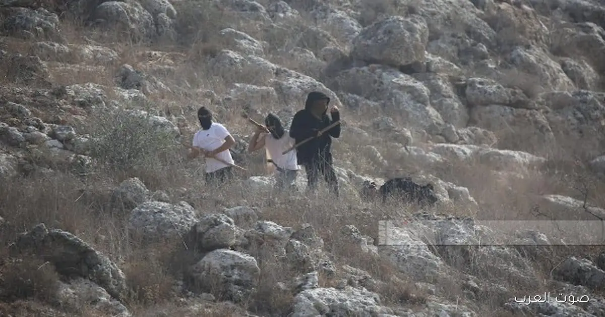 المستوطنين بيحرقوا عربيات فلسطينيين في شرق الخليل والاعتداءات مستمرة