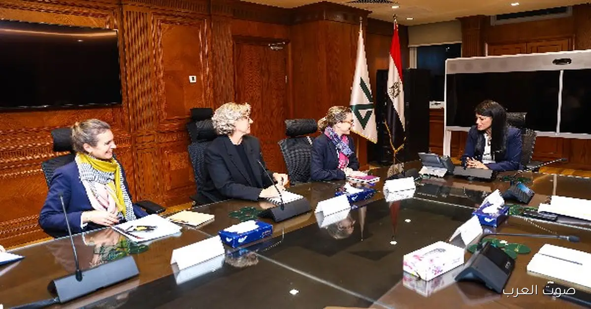 المشاط: الاقتصاد المصري واعد ونهدف لدعم القطاع الخاص أكتر