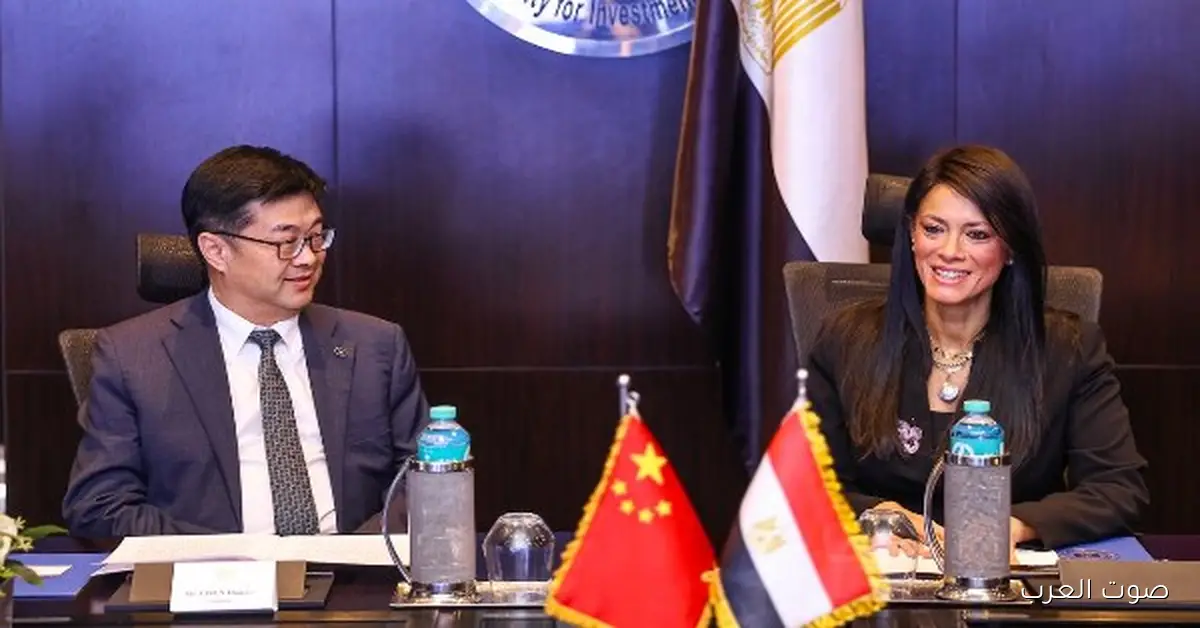 المشاط تناقش مع رئيس بنك التصدير والاستيراد الصيني طرق زيادة استثماراته في مصر