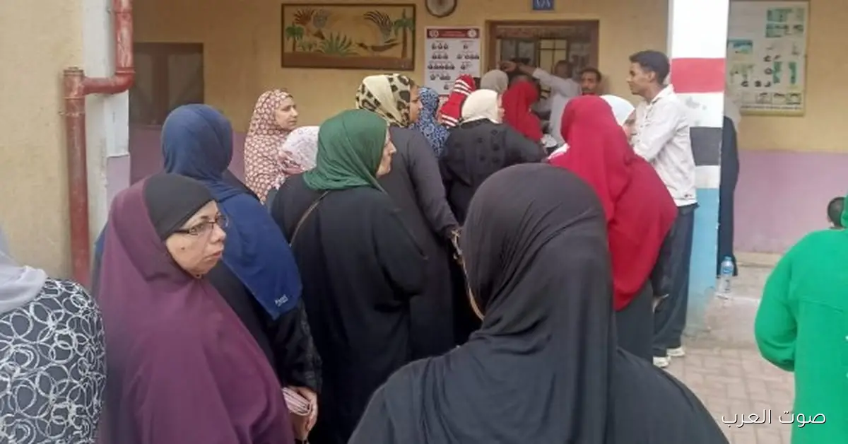 المصريون هينتخبوا نوابهم في المرحلة الثانية لمجلس النواب في 13 محافظة بعد شوية