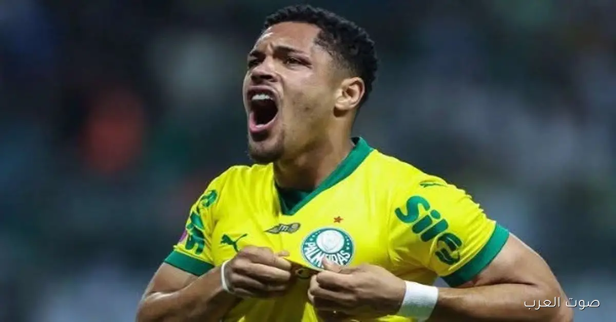 المنتخب البرازيلي في مشكلة.. روكي مهدد بإيقاف كبير