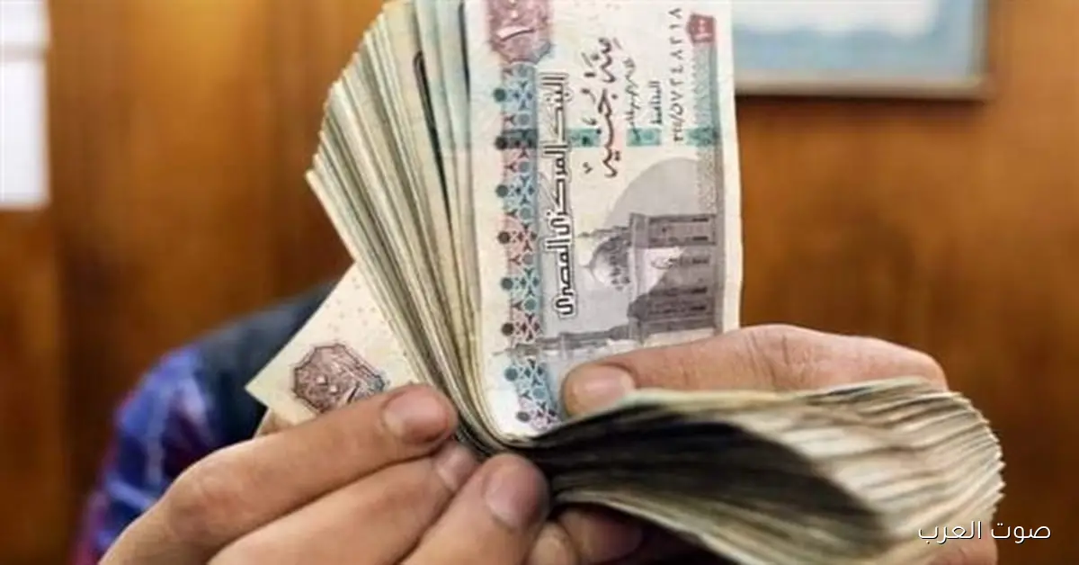 المنحة الاستثنائية لأصحاب المعاشات 2025 .. وموعد صرف معاشات ديسمبر وتفاصيل زيادة 15%