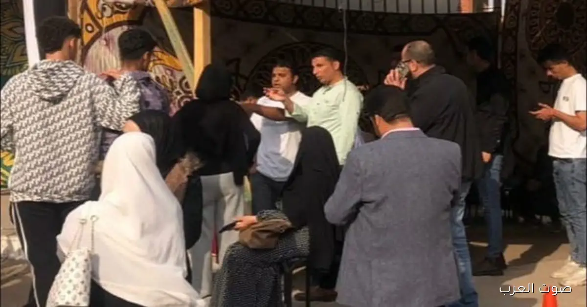 المنظمة المصرية لحقوق الإنسان: زيادة نسبة المشاركة في الانتخابات المرحلة التانية