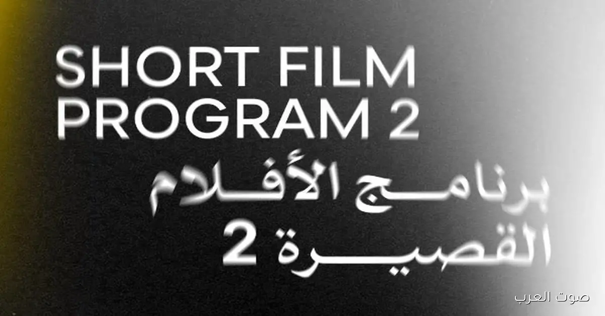 النهاردة.. هيعرضوا 4 أفلام قصيرة في مهرجان القاهرة السينمائي