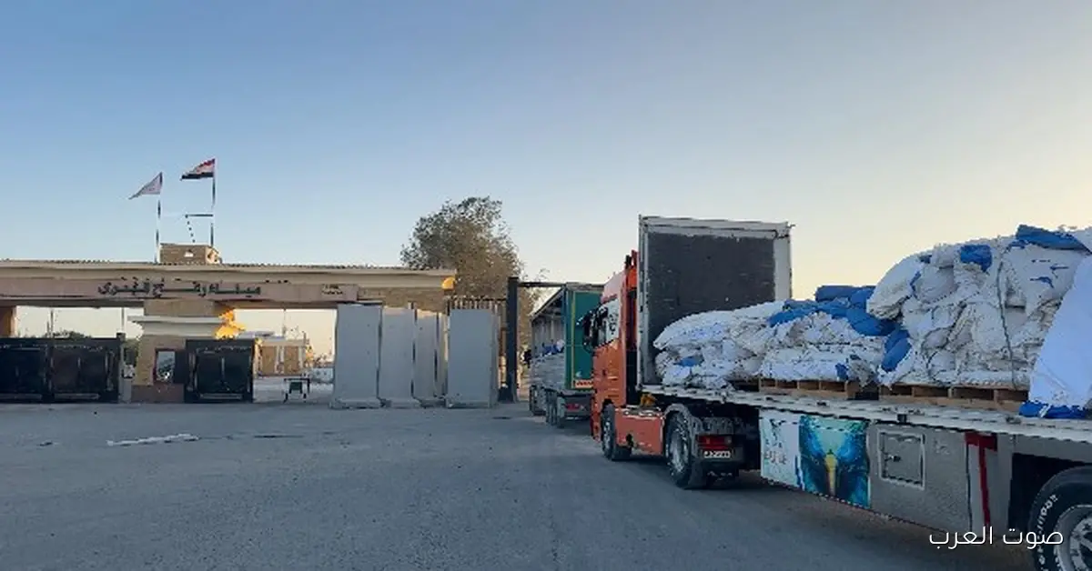 الهلال الأحمر يوزع أكتر من 220 ألف سلة غذائية و104 آلاف قطعة ملابس شتوية من خلال «زاد العزة»