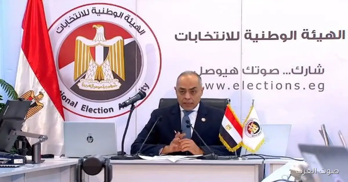 الهيئة الوطنية للانتخابات: ضبط رشاوى بـ 35 ألف جنيه قدام لجنتين للنواب في المحلة