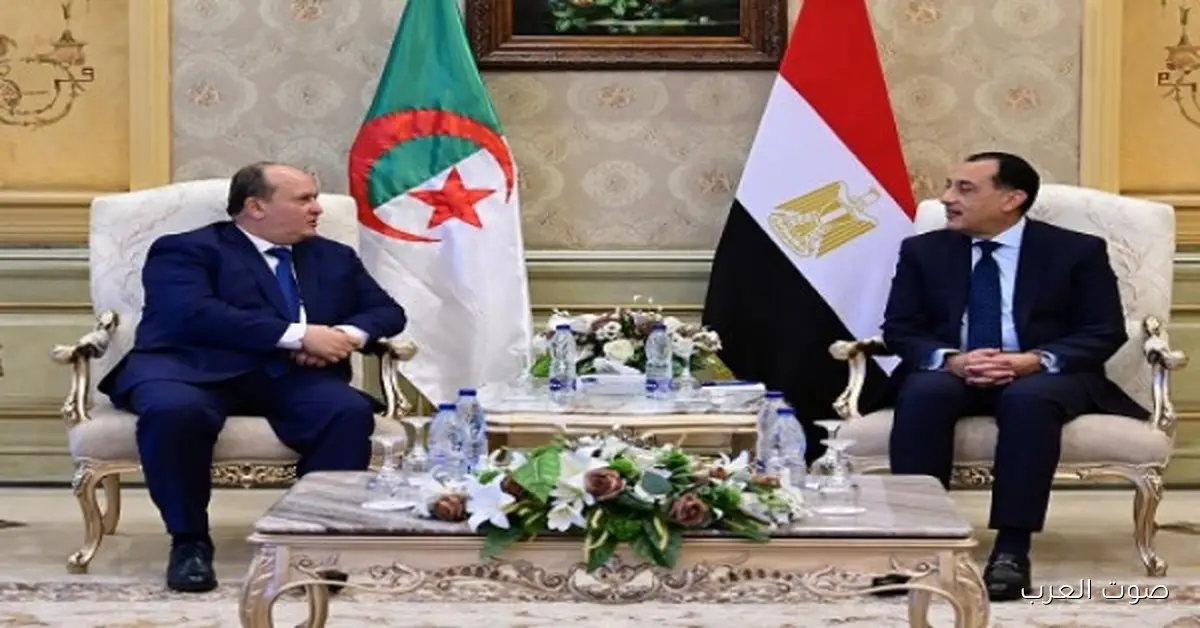 الوزير الأول الجزائري: الرئيس السيسي عايز يقوي التعاون بين البلدين