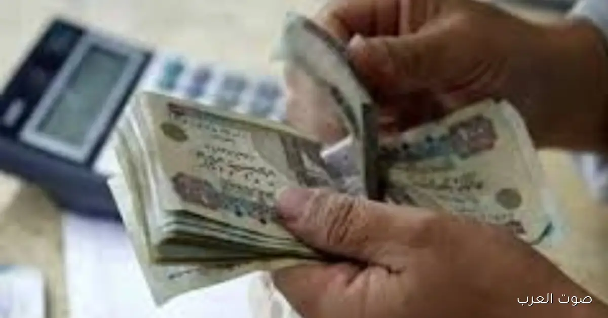 بكرة.. صرف معاشات ديسمبر لـ 11.5 مليون مستحق