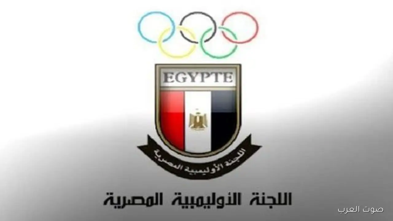 بناءً على التعديلات الجديدة في القانون.. اللجنة الأولمبية هتتابع الاتحادات ومن غير ما تتأثر صلاحياتها