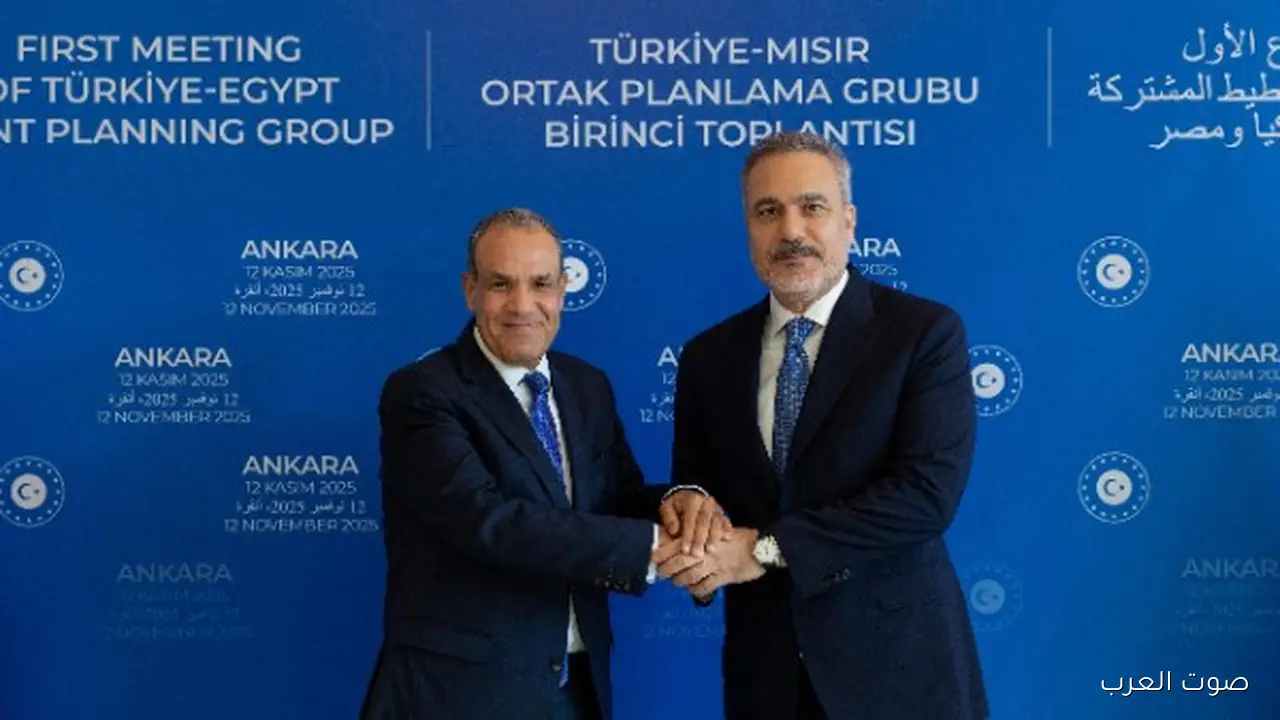 تطوير العلاقات ودعم فلسطين.. بيان مشترك بين وزير خارجية مصر وتركيا