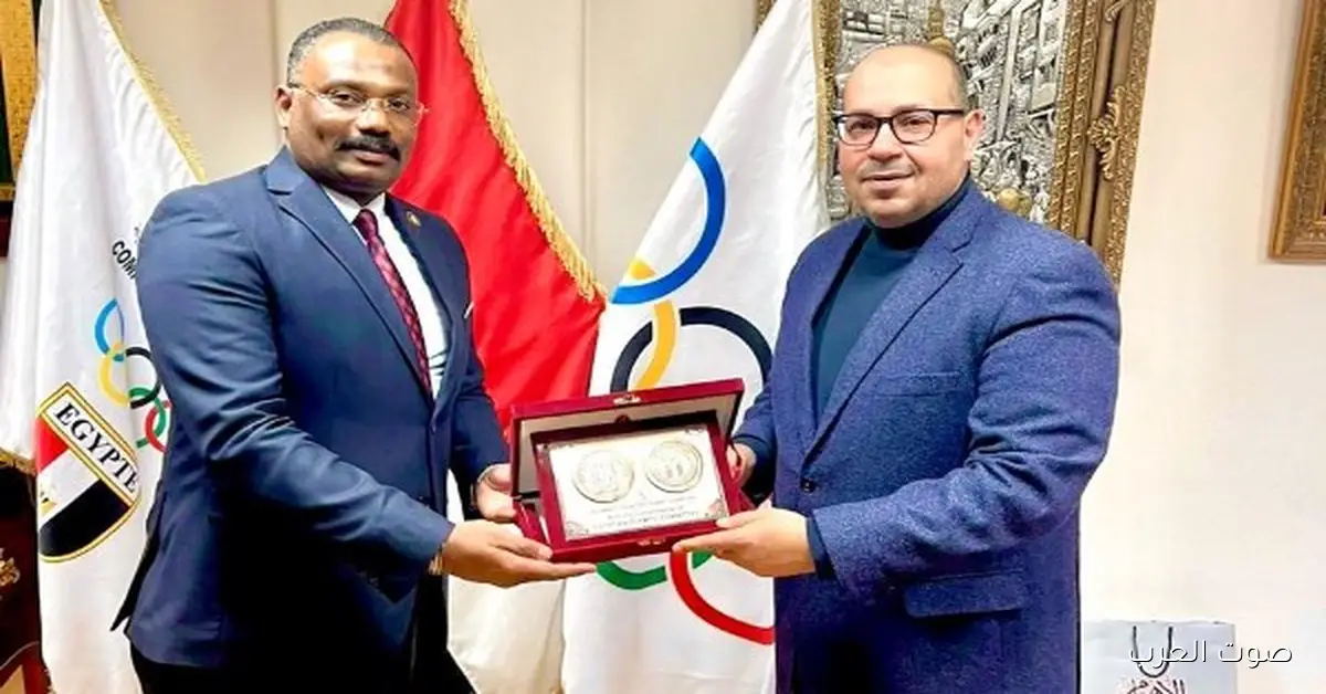 تعيين المستشار صالح سليم في لجنة القيم باللجنة الأولمبية المصرية