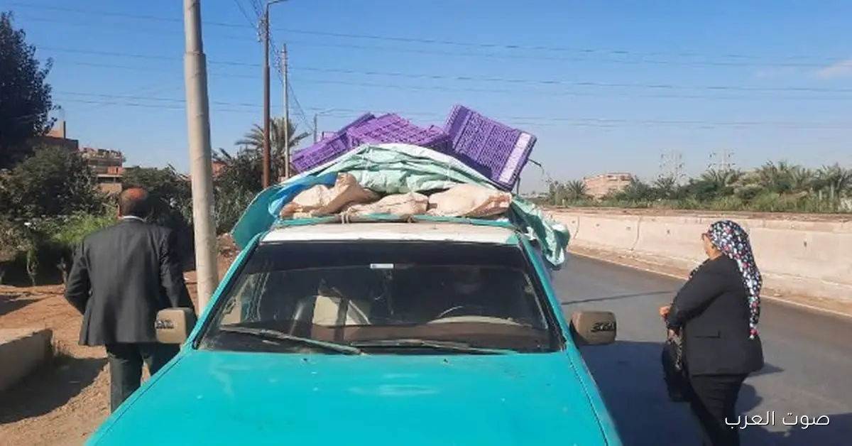 تموين القليوبية يضبط 1.6 طن بط مجمد مش معروف مصدره في بنها