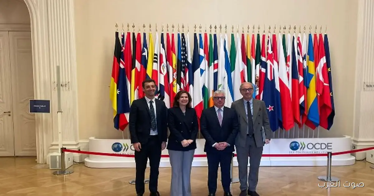 جمال الدين: شراكتنا مع الشركات الفرنسية والمؤسسات الدولية بتدعم صناعة بلدنا