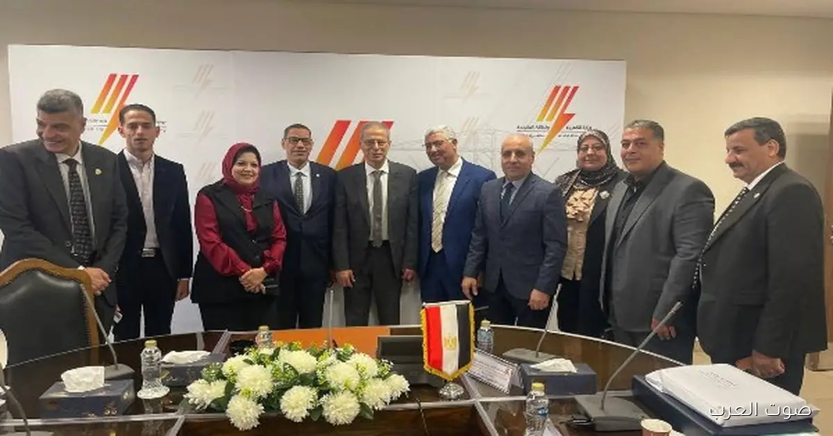 جنوب الدلتا للكهرباء: ضبط سرقات تيار بـمليار جنيه