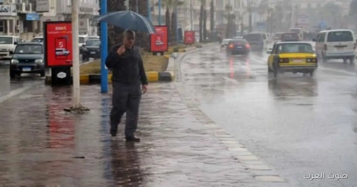جو السبت النهارده.. شبورة مائية ومطر خفيف لحد متوسط