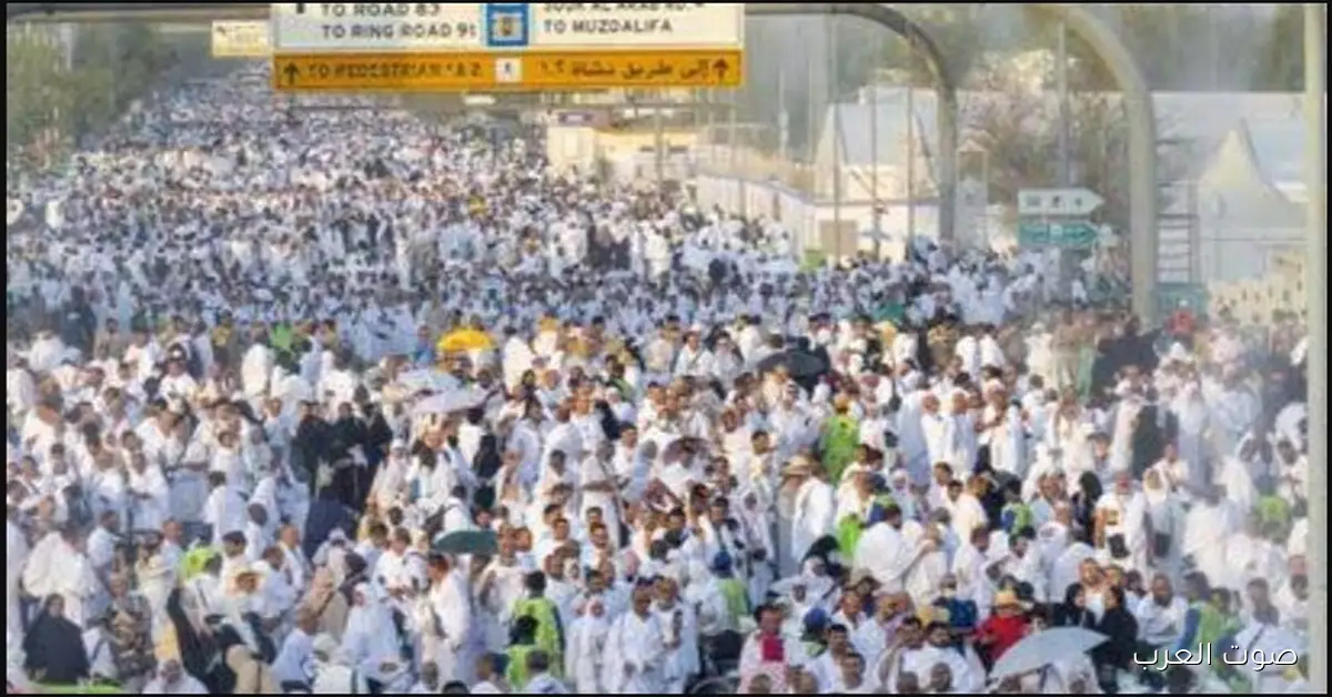 شروط وإجراءات تقديم طلب حج للعاملين بالأزهر الشريف 2025 وأخر موعد للتسجيل عبر azhar.eg