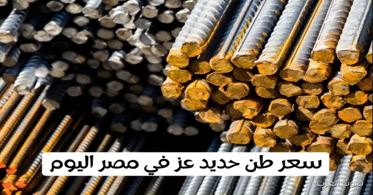 سعر طن الحديد اليوم الاثنين 24 نوفمبر 2025 .. حديد عز يشهد استقرارا نسبيا في السوق المصرية