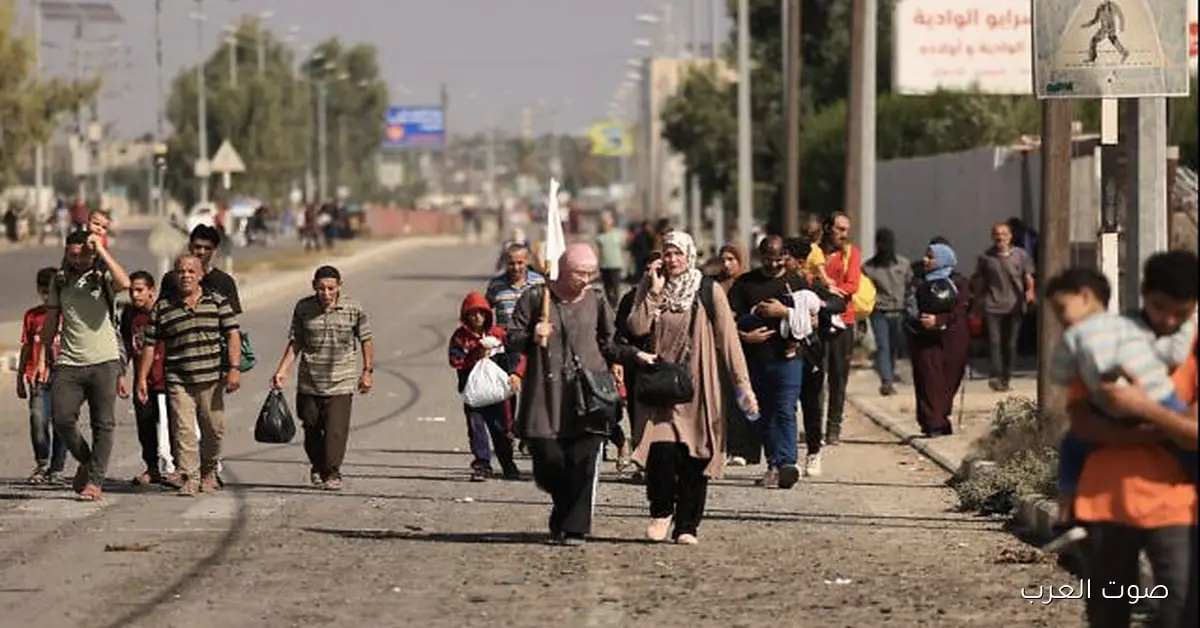 حقوقيون يشيدوا بقانون لجوء الأجانب ومصر ترفض تهجير الفلسطينيين