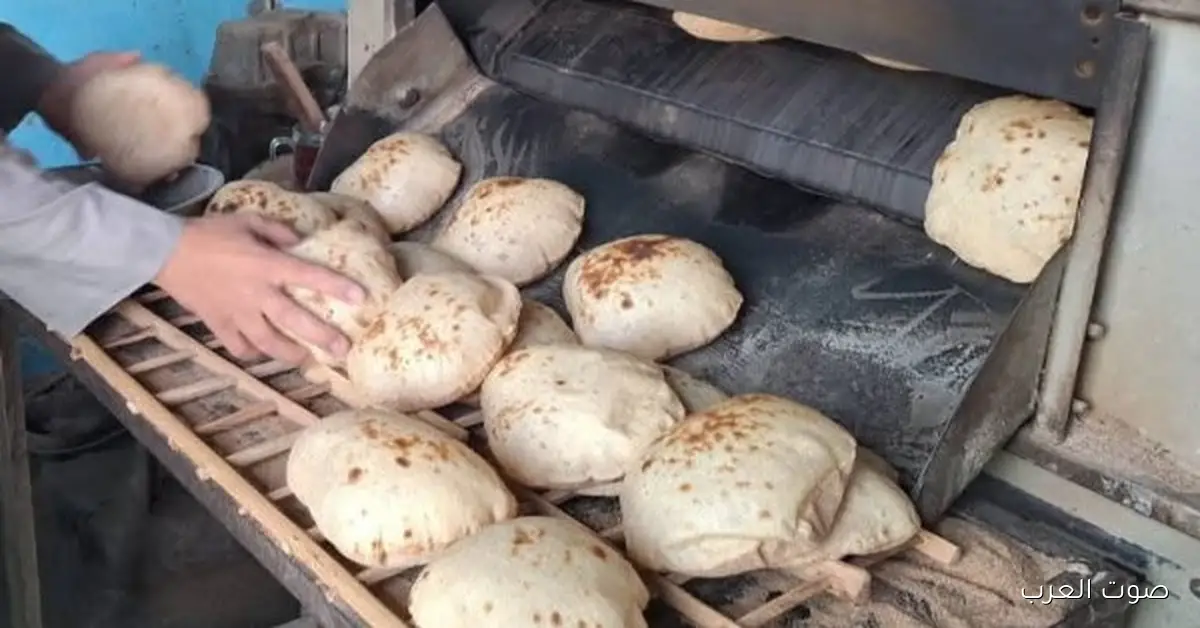 حملة تموينية مفاجئة في القناطر تضبط 20 مخالفة في المخابز