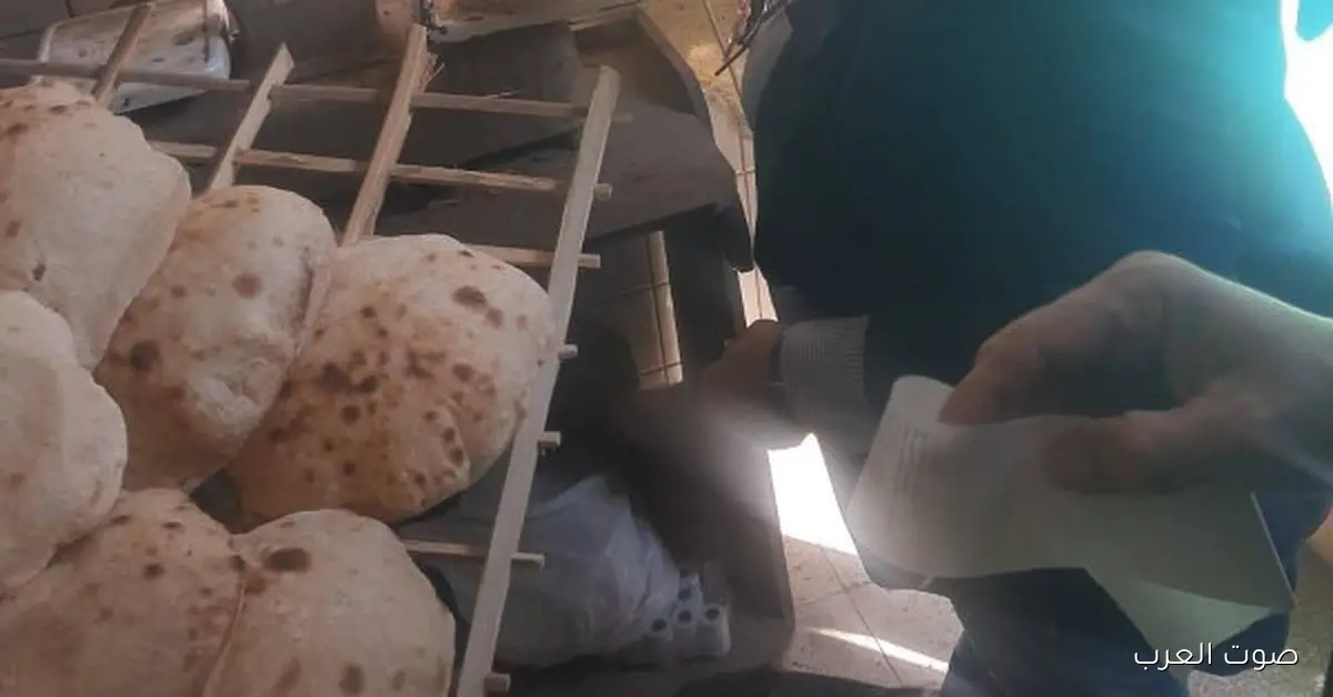 حملة مفاجئة في غرب شبرا الخيمة تضبط مخالفات في المخابز وتحجز ثلاجة أسماك مخالفة