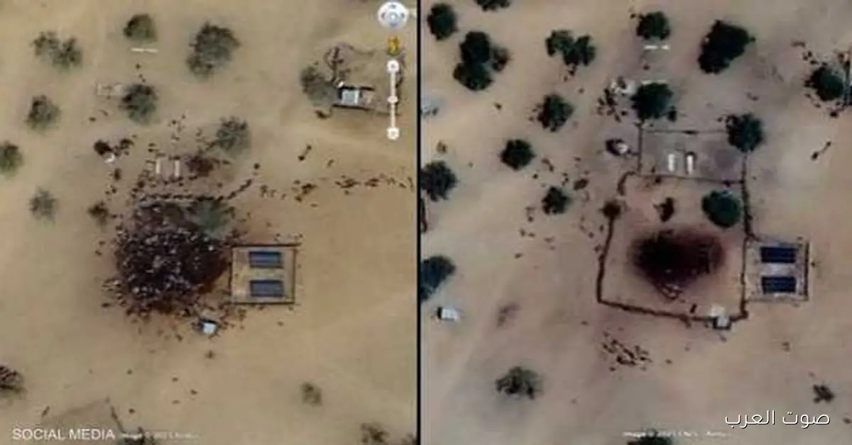 دماء وحيوانات حول بركة مياه.. صورة من السودان تثير الجدل