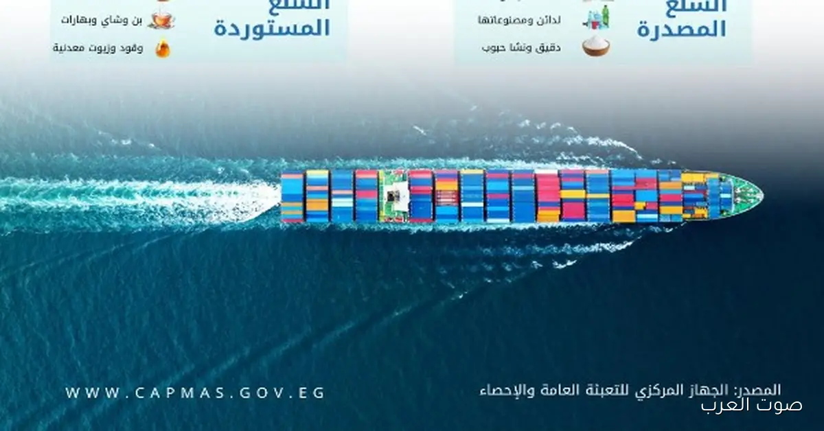 زيادة 7.6% في التجارة بين مصر ودول الاتحاد الإفريقي في 2024