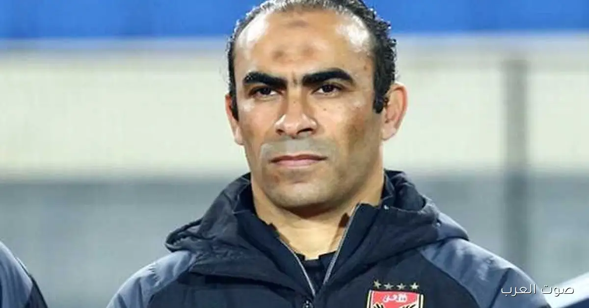 سعد شلبي: عبدالحفيظ له الحرية في اتخاذ قرارات للفريق من غير ما يرجع لمجلس الأهلي