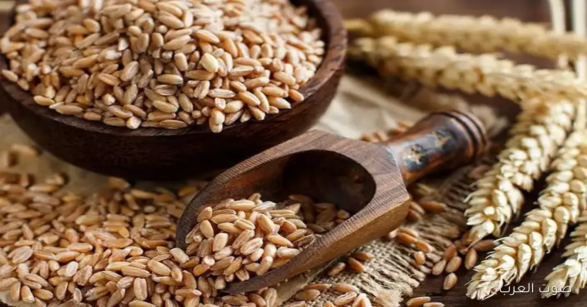 الطن وصل لكام؟؟ سعر الأرز الشعير اليوم السبت 2025/11/29 في الأسواق المصرية