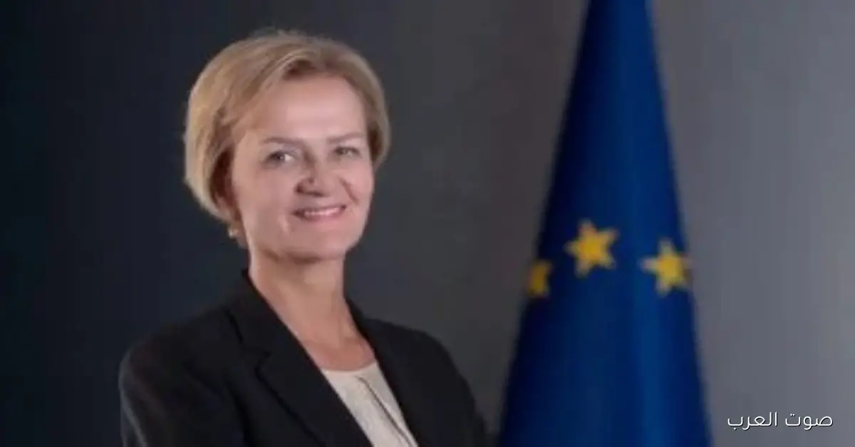 سفير الاتحاد الأوروبي في القاهرة: انضمام مصر لهورايزون أوروبا هو أعلى مستوى من التعاون