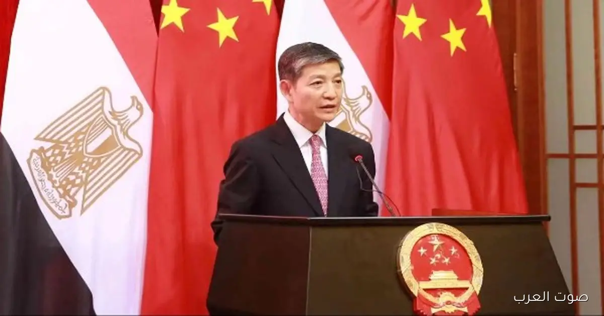 سفير الصين: السلع المصرية هتدخل السوق الصينية من غير رسوم جمركية
