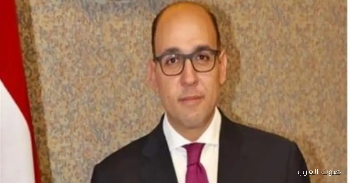 سفير مصر في كندا: برودة الجو مش هانتع على المصريين في الانتخابات ومش عائق قدامهم