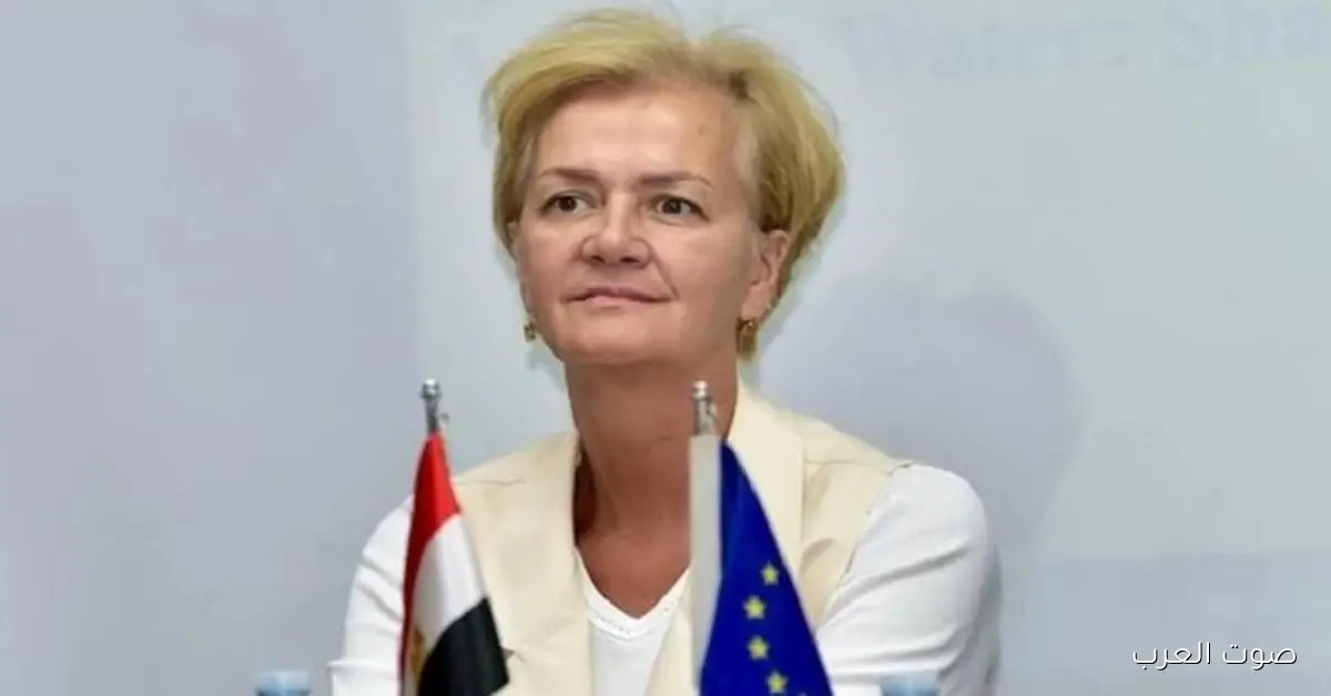 سفيرة الاتحاد الأوروبي تتكلم مع مساعد وزير الخارجية عن التعاون في الثقافة والتراث