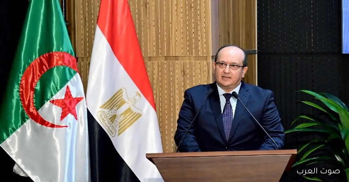 سيفي غريب: شركات مصرية في الجزائر بتكون مثال للنجاح والاجتهاد