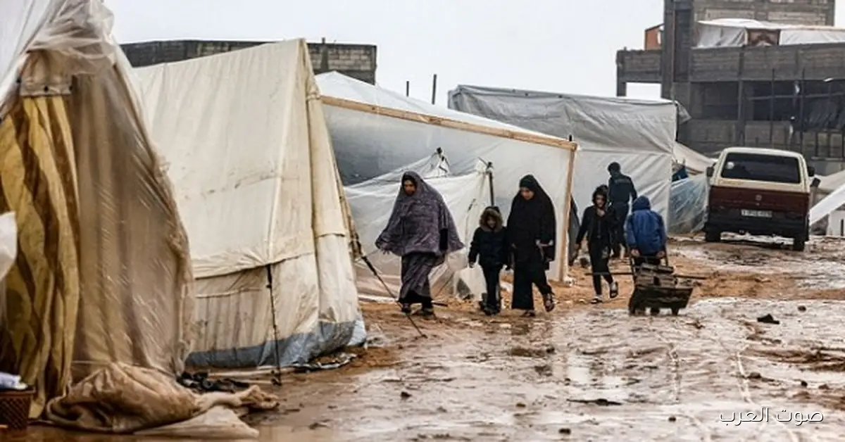 شتاء صعب على غزة… مصر بتتحرك بسرعة لإنقاذ النازحين وسط تحذيرات حقوقية متزايدة