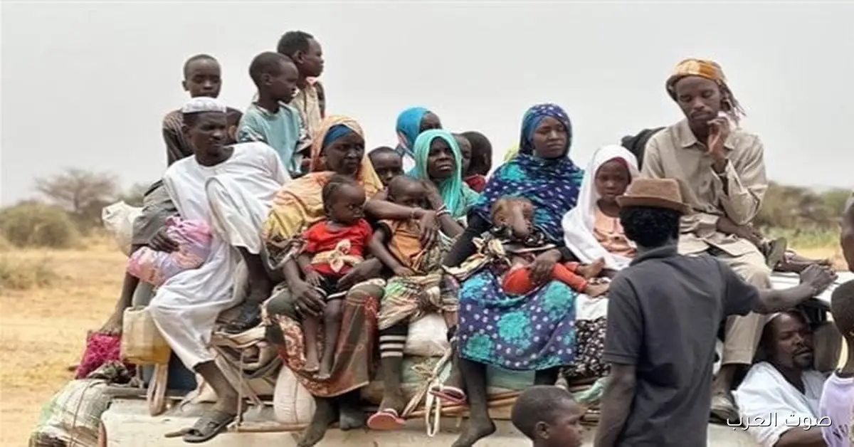 صمت العالم يزيد من الأزمات.. مسؤول في دارفور: المتمردين بياخدوا أراضي في السودان