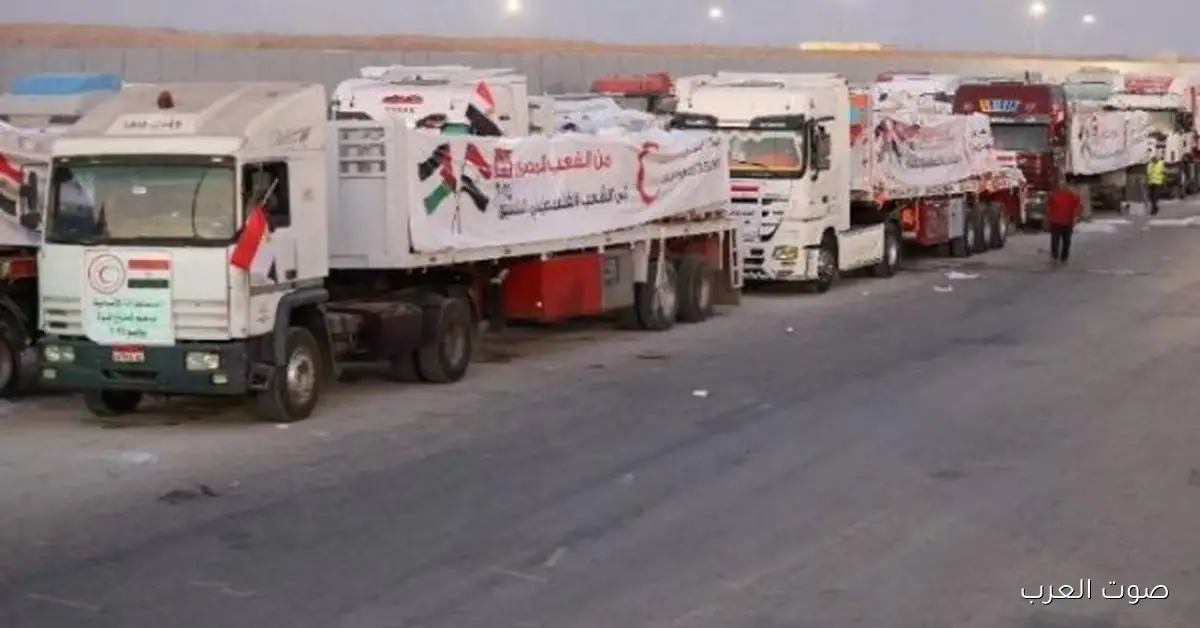 قافلة «زاد العزة» الـ77 توصل المساعدات للفلسطينيين في غزة
