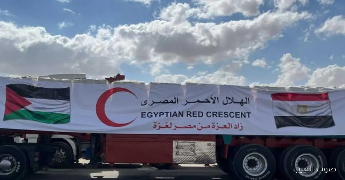 قافلة «زاد العزة» الـ80 توصل المساعدات للفلسطينيين في غزة