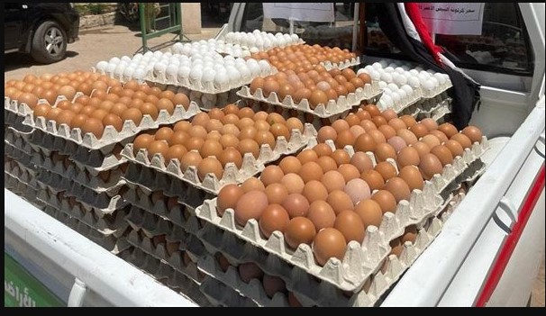 بـعد تــراجع الفراخ .. سعر كرتونة البيض اليوم للمستهلك في المحلات التجارية