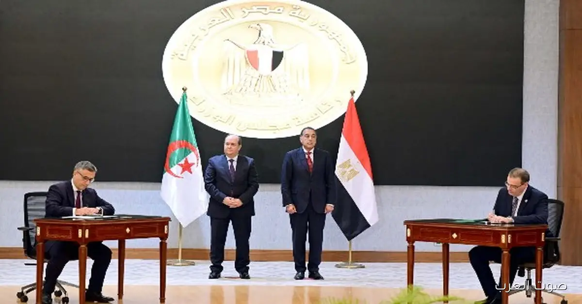 كل التفاصيل عن الوثائق ومذكرات التفاهم اللي اتوقعت بين مصر والجزائر النهاردة