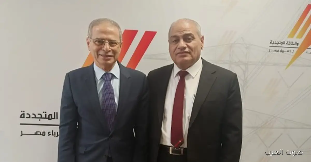 كهرباء شمال القاهرة تستثمر 1.472 مليار جنيه بنجاح