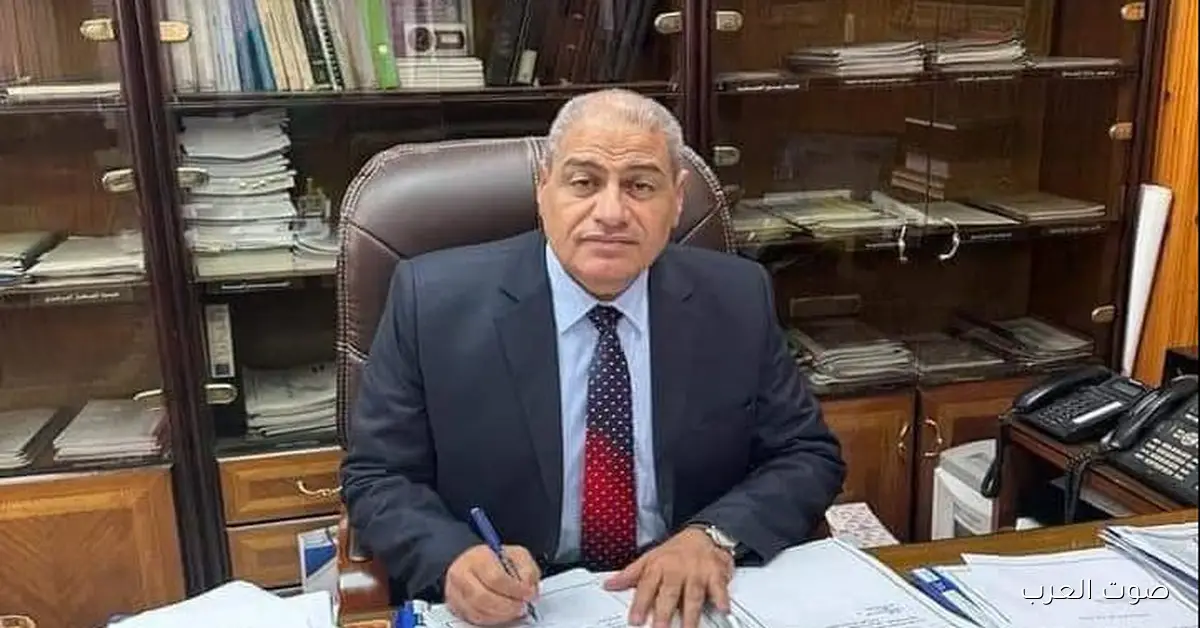 كهرباء شمال القاهرة: جابوا مليار جنيه من سرقة التيار