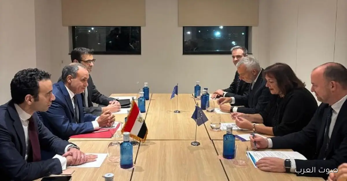 مباحثات بين وزير الخارجية والمفوضة الأوروبية لفتح باب الصادرات المصرية