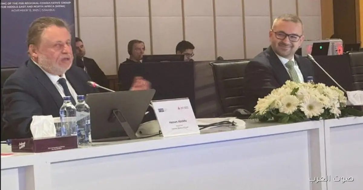 محافظ البنك المركزي يجتمع مع نظيره التركي لبحث الاستقرار المالي في المنطقة