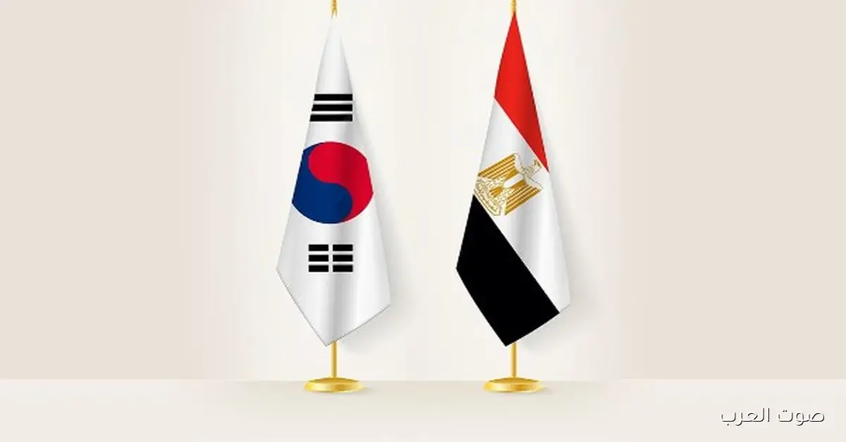 محفظة التعاون بين مصر وكوريا تتخطى 1.3 مليار دولار وتشمل مجالات النقل والتعليم والطاقة