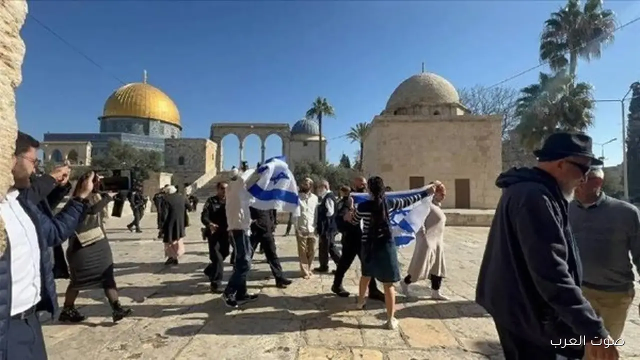 مستوطنين بيقتحموا المسجد الأقصى بحماية شرطة الاحتلال