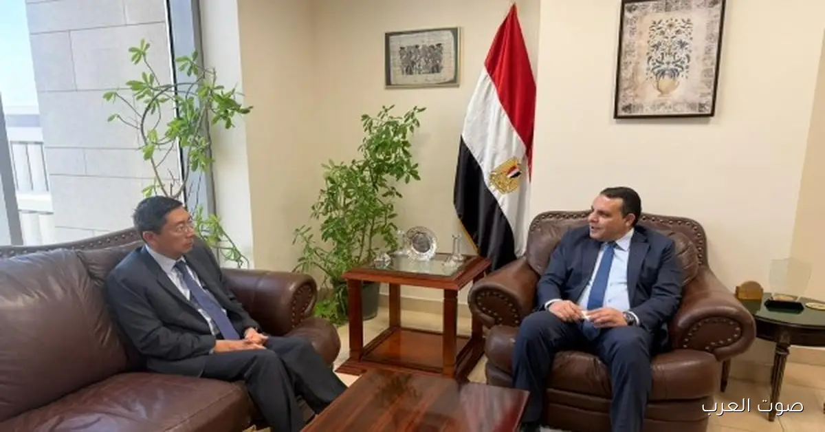 مصر بتجهز لزيارة سنغافورة علشان تتكلم عن فرص التعاون في الاستثمار