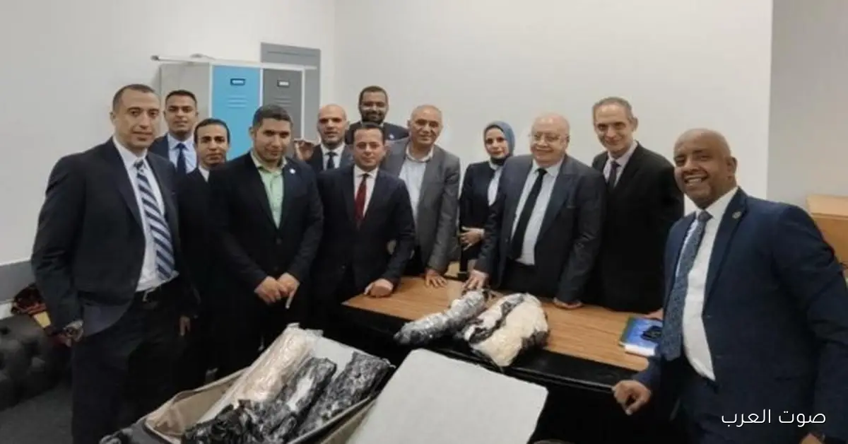 مطار القاهرة يقبض على راكبين معاهما 20 كيلو من مخدر XTC